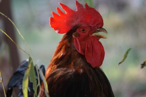 Der ein oder andere Professor nimmt sich hier und da zu ernst. Bild: Eigene Aufnahme